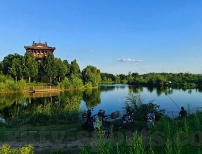 环球网比分足球比分直播-环球网比分,足球比分直播的实时盛宴与深度解析
