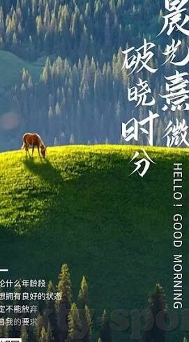 spdo体球网足球比分-探秘SPDO体球网，足球比分背后的数据狂欢与观赛革命